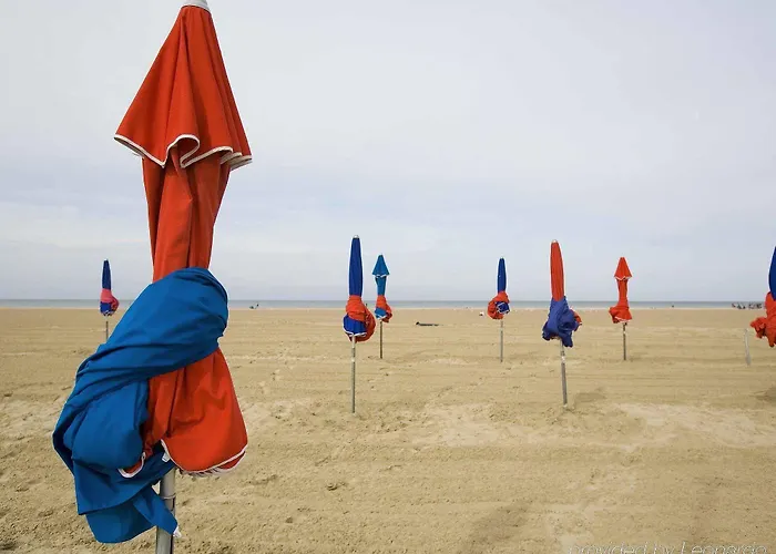 Hotel Ibis Centre 3*